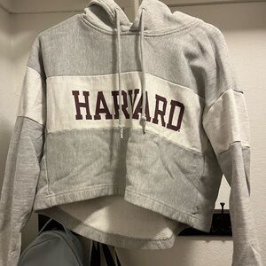 cropped campion hoodie